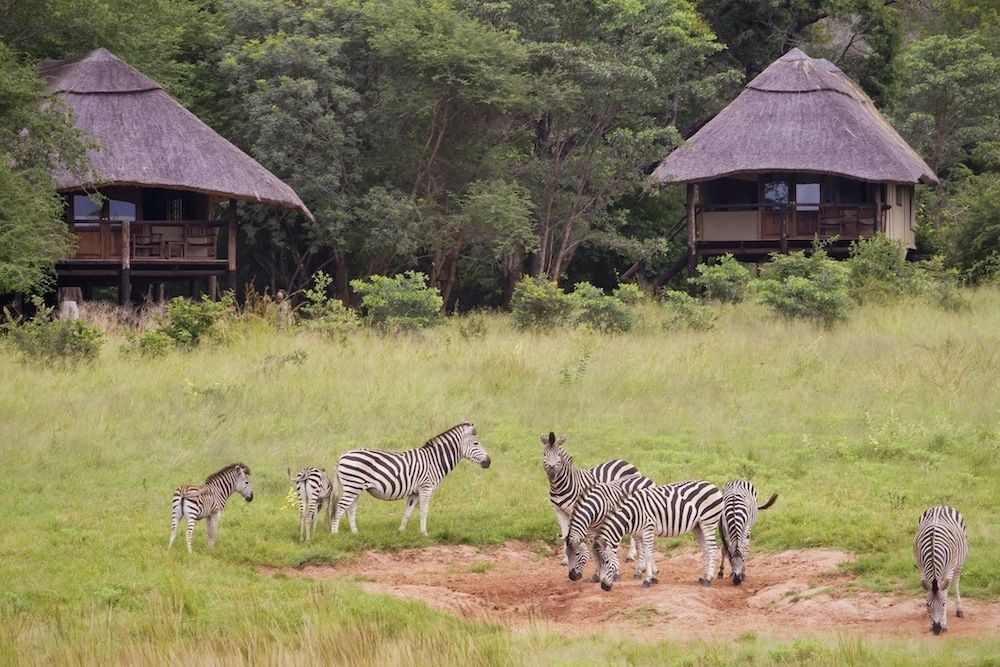 Ivory Lodge Dete Exterior photo
